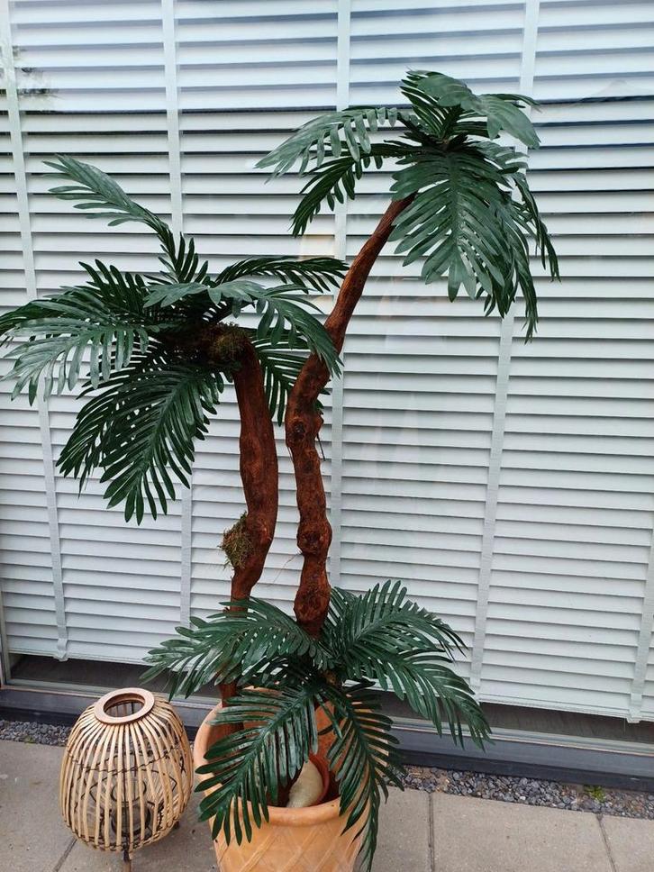 Prachtige kunst palmboom nieuw, Huis en Inrichting, Woonaccessoires | Kunstplanten en Kunstbloemen, Nieuw, Binnen, Buiten, Ophalen of Verzenden