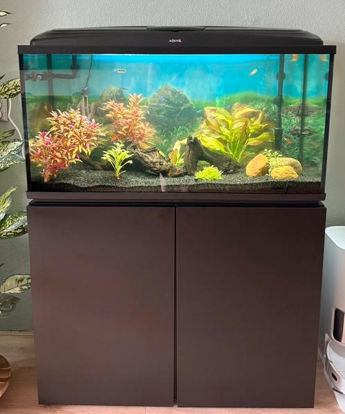 Aquarium van 1 meter, met meubel (zwart) en buitenfilter, Dieren en Toebehoren, Vissen | Aquaria en Toebehoren, Zo goed als nieuw