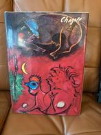 Kunstboek Marc Chagall door Franz Meyer Engelstalig, Ophalen of Verzenden, Gelezen, Overige onderwerpen