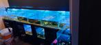 7 x aquarium € 200, Ophalen of Verzenden, Zo goed als nieuw, Leeg aquarium