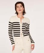 Josh V streep trui vest nieuw, Kleding | Dames, Zwart, Nieuw, Ophalen of Verzenden, Maat 34 (XS) of kleiner