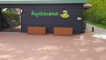 Bloembak, rechthoekig 120x40x80 Cortenstaal design beschikbaar voor biedingen