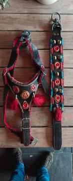 Gebruikte Halsband+passend tuig kangal/Anatolische herder, Ophalen, Gebruikt