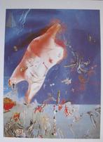 Salvador Dali - Zomerkrachten en de geboorte van Venus, Verzamelen, Ansichtkaarten | Themakaarten, Verzenden, 1980 tot heden, Ongelopen
