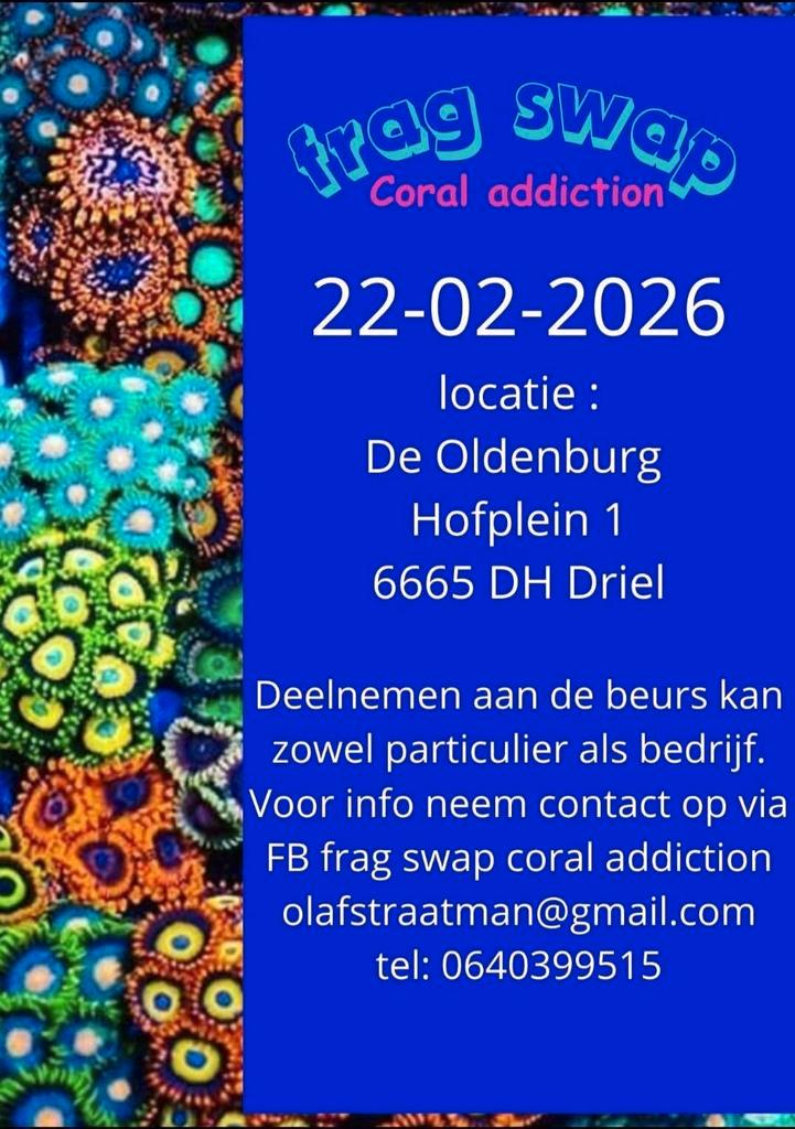 Koralen beurs 22-02-2026, Dieren en Toebehoren, Vissen | Aquariumvissen, Overige typen