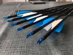 Pijlen voor boog (Met vervangbare punt) 12 stuks, Sport en Fitness, Handboogschieten, Ophalen of Verzenden, Nieuw, Pijlen
