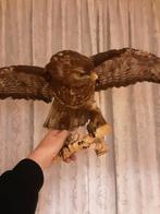 Buizerd, Ophalen, Gebruikt