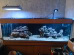 Zeeaquarium 3x philps coralcare,, Dieren en Toebehoren, Ophalen, Gebruikt, Verlichting of Verwarming