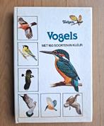 Boek over vogels – 160 soorten in kleur, Verzenden, Zo goed als nieuw, Vogels