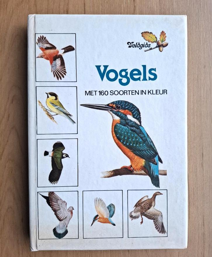 Boek over vogels – 160 soorten in kleur, Boeken, Natuur, Zo goed als nieuw, Vogels, Verzenden