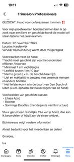 Proefexamen hond gezocht ‼️, Dieren en Toebehoren, Honden-accessoires, Ophalen of Verzenden