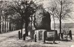 Ansichtkaart Winterswijk Dikke Steen Woold, Verzenden, 1960 tot 1980, Gelopen, Gelderland