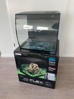 Fluval Aquarium & supplies, Dieren en Toebehoren, Vissen | Aquaria en Toebehoren, Ophalen, Gebruikt, Leeg aquarium