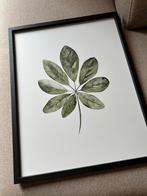 Xenos lijst zwart met groen blad, Huis en Inrichting, Ophalen, Minder dan 50 cm, 50 tot 75 cm, Zo goed als nieuw