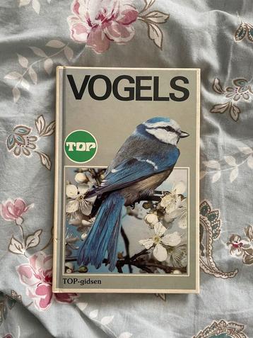 Vogels TOP-gids - Neil Ardley beschikbaar voor biedingen