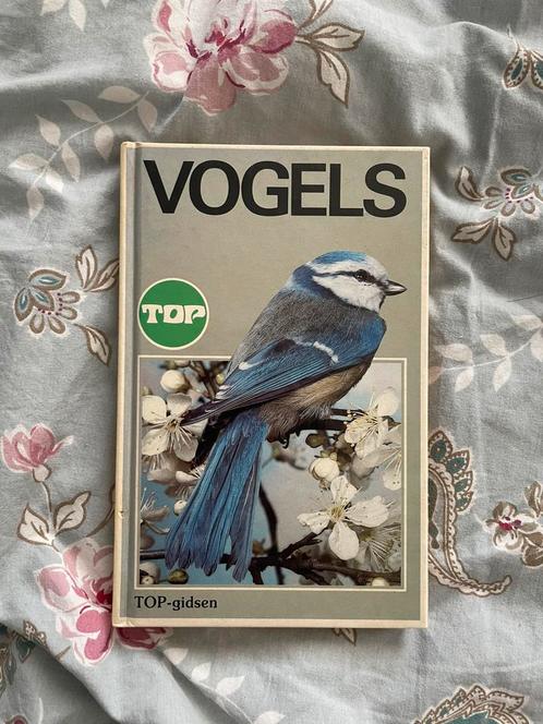 Vogels TOP-gids - Neil Ardley, Boeken, Dieren en Huisdieren, Zo goed als nieuw, Vogels, Ophalen of Verzenden