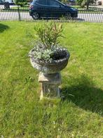 Ornament tuin, Tuin en Terras, Tuinbeelden, Ophalen, Gebruikt