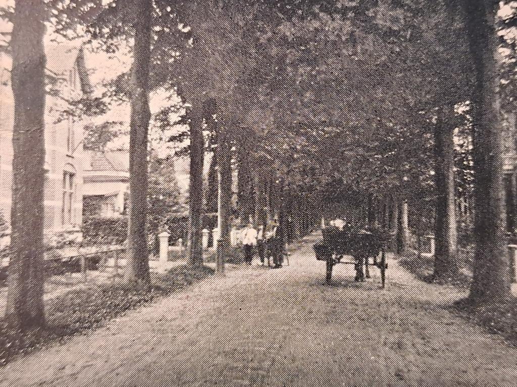 Apeldoorn,  Marialaan,  gelopen 1904, Ophalen of Verzenden, Voor 1920, Gelderland