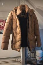 Dames winterjas, Ophalen of Verzenden, Nieuw