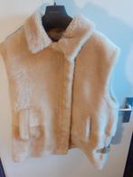 bodywarmer teddy, Kleding | Dames, Bodywarmers, Beige, Maat 46/48 (XL) of groter, Nieuw, Ophalen of Verzenden