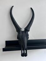 Skul PTMD, Ophalen, Zo goed als nieuw