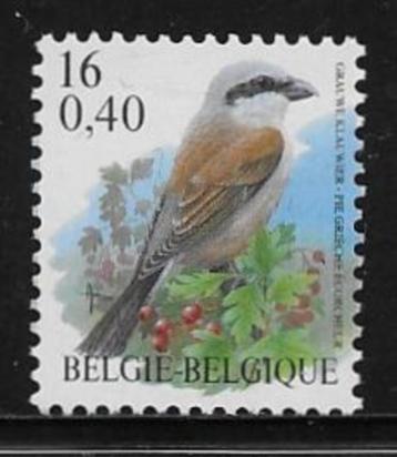 België 2000  Vogel   Grauwe Klauwier   2931   (Pfr) beschikbaar voor biedingen