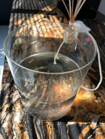 Aquarium kleine visjes rood en wit beschikbaar voor biedingen