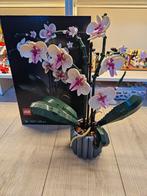 LEGO 10311 Orchid - Orchidee, Ophalen, Zo goed als nieuw