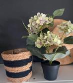 Kunstplant hortensia Ikea & mandje ( nieuw ), Huis en Inrichting, Woonaccessoires | Kunstplanten en Kunstbloemen, Ophalen of Verzenden