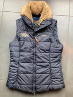 Hv polo bodywarmer s, Ophalen of Verzenden, Zo goed als nieuw, Dressuur, Bovenkleding