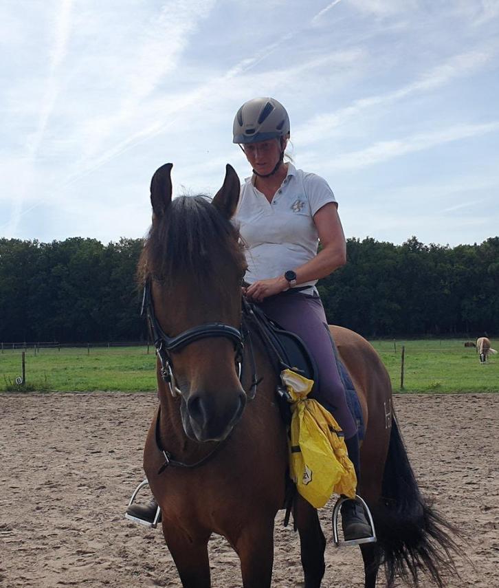 Bijrijder/trainer/verzorger voor gave Spaanse ruin, Diensten en Vakmensen, Dieren | Paarden | Verzorging, Oppas en Les, Ruiter of Bijrijder