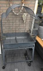 Vogelkooi, Dieren en Toebehoren, Ophalen, Gebruikt, Metaal, Vogelkooi