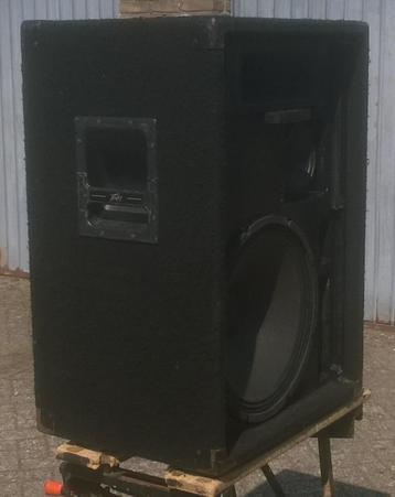 Luidsprekers 15 inch 3-weg 200 Watt, 2 stuks beschikbaar voor biedingen
