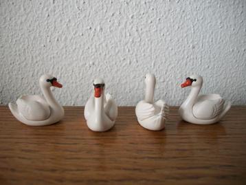 zwemmende zwaan beschikbaar voor biedingen