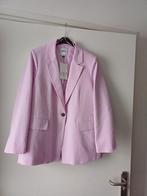 BLAZER ZARA ROZE MAAT XL NIEUW+KAARTJE ER NOG AAN, Zara, Maat 46/48 (XL) of groter, Nieuw, Ophalen of Verzenden
