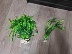 Ongeveer 8 neppe aquariumplanten, Dieren en Toebehoren, Ophalen of Verzenden, Nieuw, Plant(en), Steen of Hout