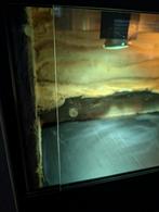 Terrariumkast greywash (terrarium 120x50x50), Dieren en Toebehoren, Reptielen en Amfibieën | Toebehoren, Ophalen