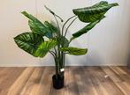 Philodendron white green kunstplant nieuw!, Ophalen, Volledige schaduw, 100 tot 150 cm, Overige soorten