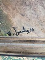 GEWELDIG OLIEVERF OP DOEK GESIGNEERD POLDER LANDSCHAP 83X62, Antiek en Kunst, Ophalen of Verzenden