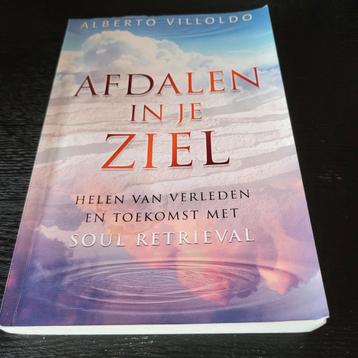 Alberto Villoldo - Afdalen in je ziel beschikbaar voor biedingen