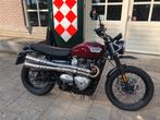 Triumph SCRAMBLER 900 ABS TR6C LOOK (bj 2020), Motoren, Bedrijf, 900 cc, Meer dan 35 kW, Naked bike