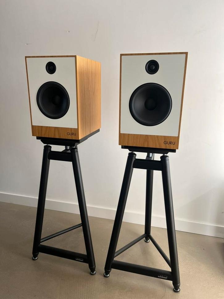 Guru 12 luidsprekers Demo., Audio, Tv en Foto, Luidsprekers, Zo goed als nieuw, Front, Rear of Stereo speakers, 120 watt of meer