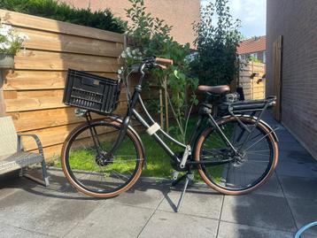 Stella dolce beschikbaar voor biedingen