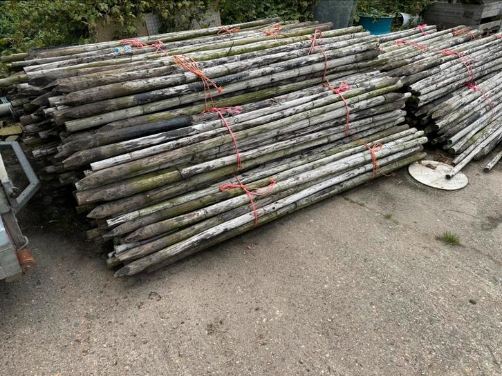 Boompalen, Tuin en Terras, Palen, Balken en Planken, Gebruikt, Palen, 250 cm of meer, Ophalen