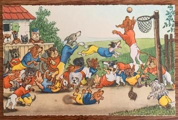 Oude prentkaart: Honden basketbal beschikbaar voor biedingen