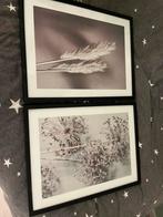 Posters, Ophalen, Schilderij, Minder dan 50 cm