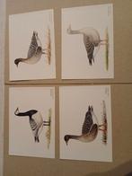 Oude Ansichtkaarten Ganzen Informatie Centrum Oostmahorn, Ophalen of Verzenden, 1980 tot heden, Gelopen, Friesland