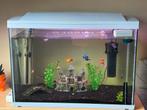Superfish start 100 aquarium, Ophalen, Gebruikt, Gevuld zoetwateraquarium