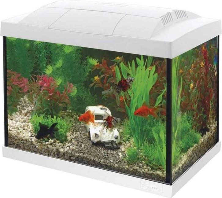 Superfish Start 20 Goldfish Kit Wit NIEUW, Dieren en Toebehoren, Vissen | Aquaria en Toebehoren, Nieuw, Leeg aquarium, Ophalen of Verzenden