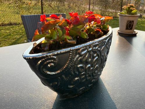 Sierlijk gedecoreerde zilveren Aardewerk plantenbak, Tuin en Terras, Bloembakken en Plantenbakken, Zo goed als nieuw, Steen, Binnen